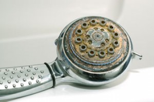 showerhead