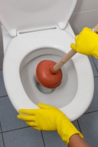 toilette